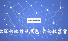 2023年最受欢迎的比特币钱