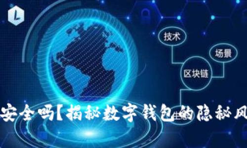 TPWallet真的安全吗？揭秘数字钱包的隐秘风险与保卫措施