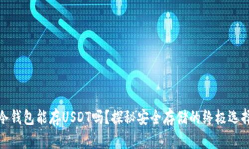 冷钱包能存USDT吗？探秘安全存储的终极选择