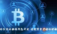 哈尔滨区块链钱包开发：