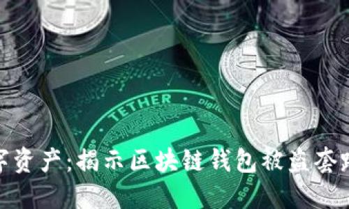 保护你的数字资产：揭示区块链钱包被盗套路与防范措施