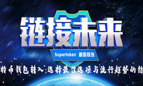 比特币钱包转入：选择最佳选项与流行趋势的结合